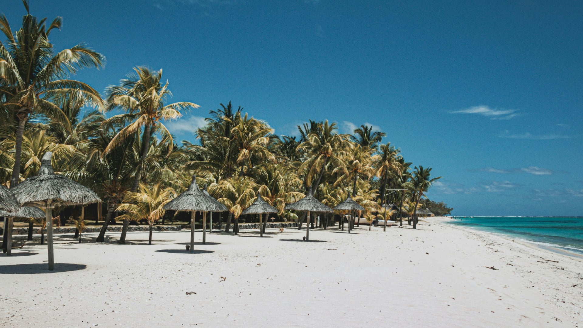 Plage typique de l'Île Maurice : sable blanc fin, cocotiers, paillotes de paille, lagon turquoise et ciel d'été sans nuage, illustration du volet Maurice du combiné