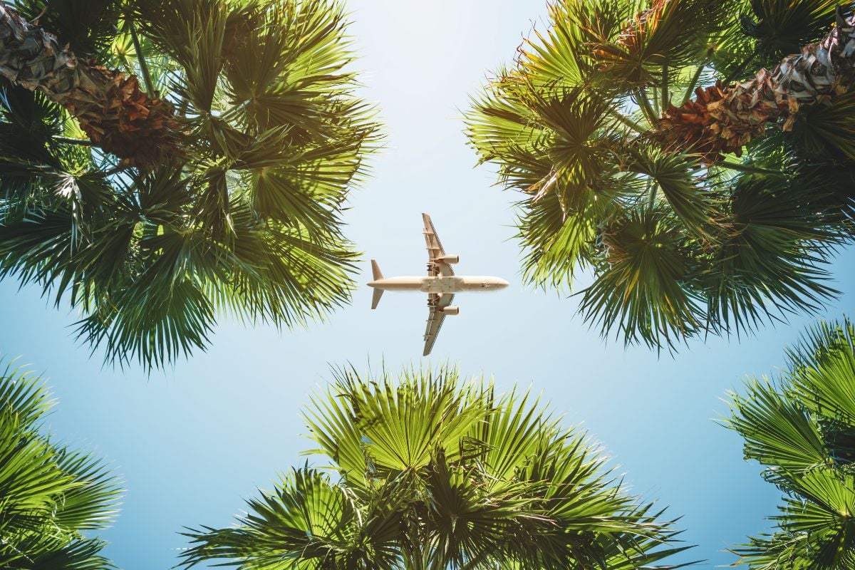 Avion long-courrier en vol vu en contre-plongée à travers la cime de palmiers tropicaux, ciel bleu pâle, ambiance arrivée île de l'océan Indien